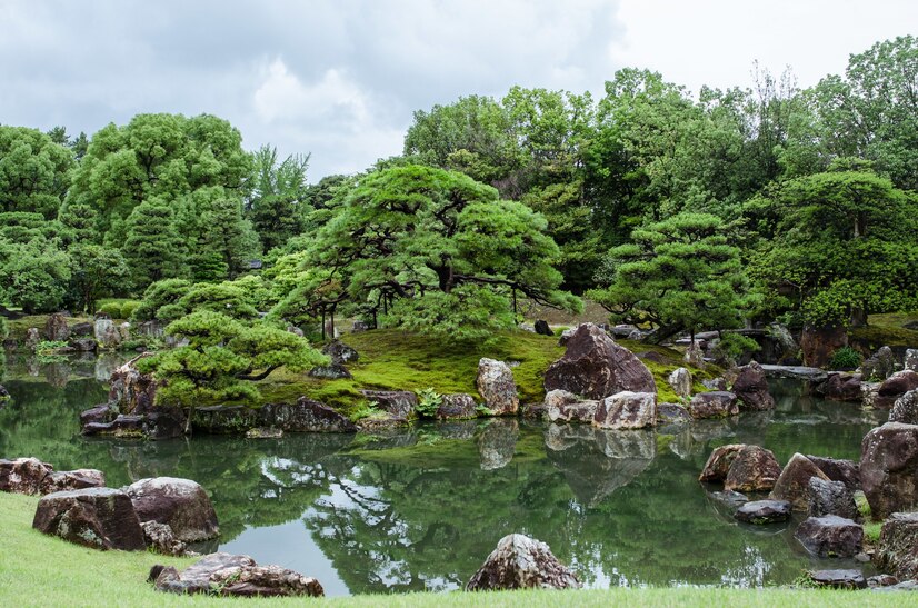 Japanese Botanical Garden Miami