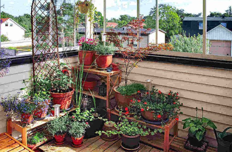 Start a Balcony Garden