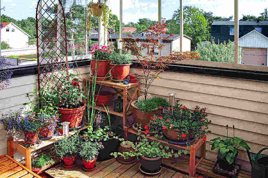 Start a Balcony Garden