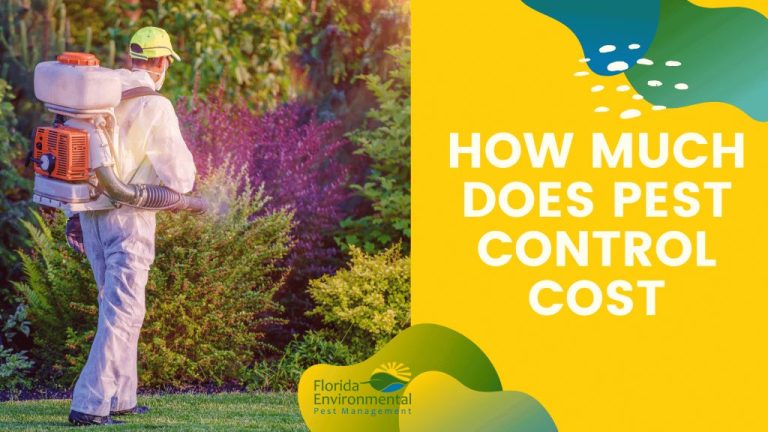 How much is pest control in Miami