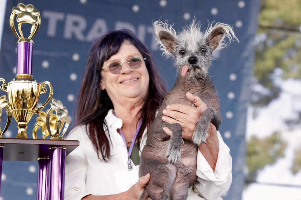 Who won the ugliest dog contest