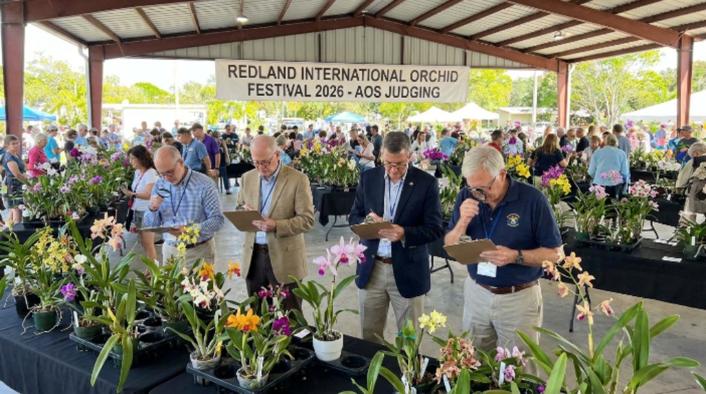 AOS judging competition at Redland International Orchid Festival 2026